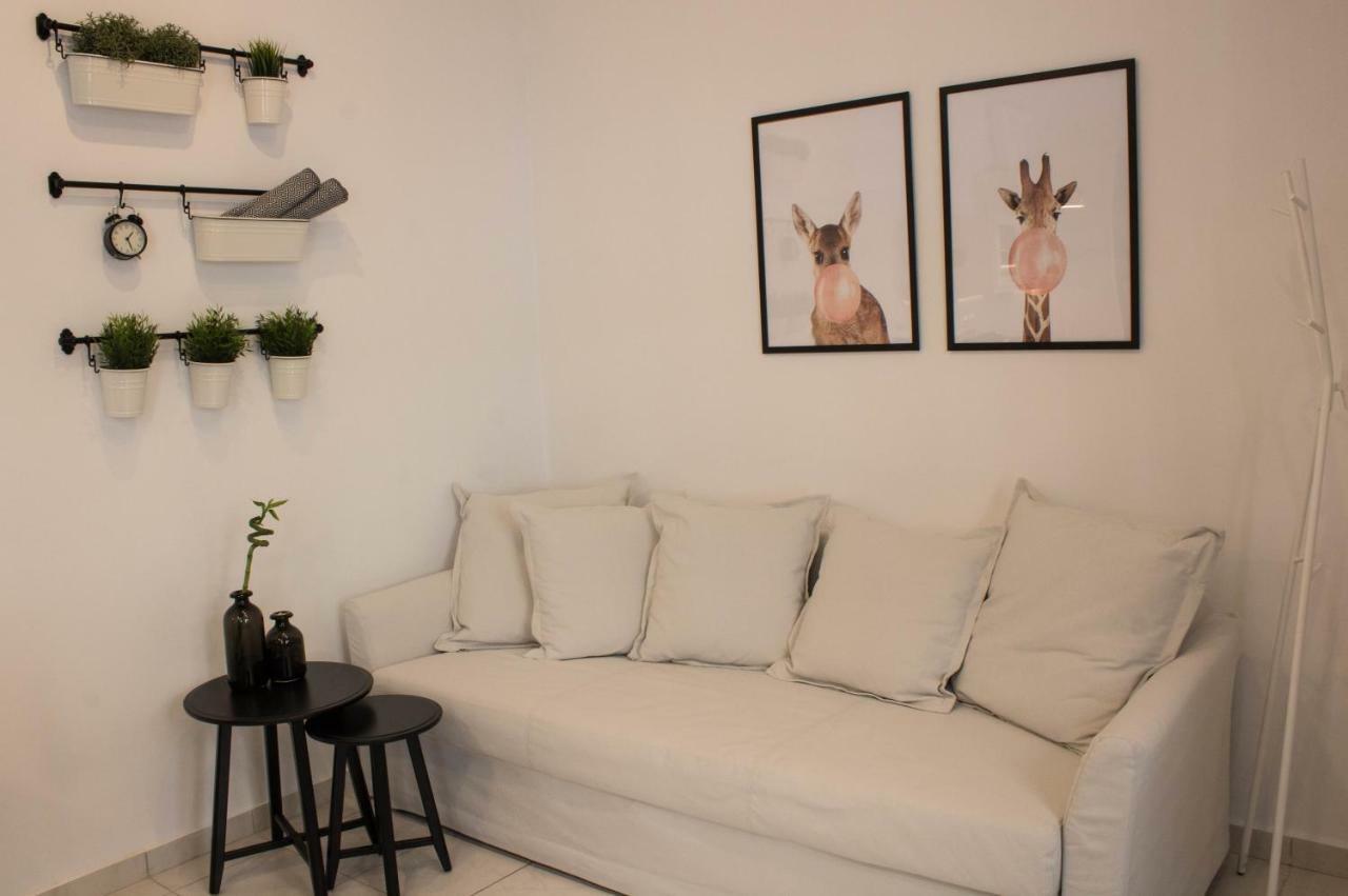 Super Stylish Apartments In Syntagma Square! Athen Exterior foto